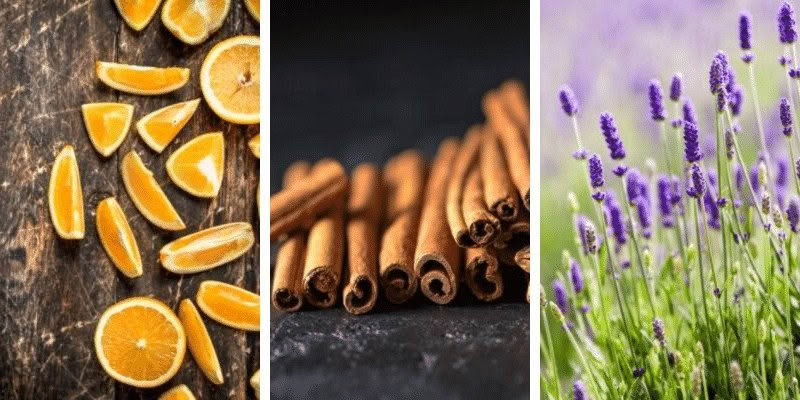 The aromas of winter