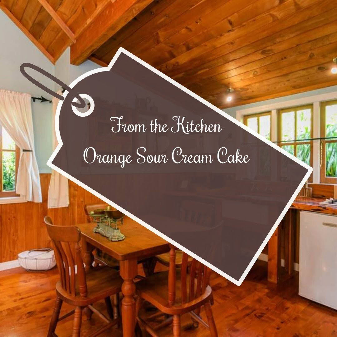 Copy of search canva (1)