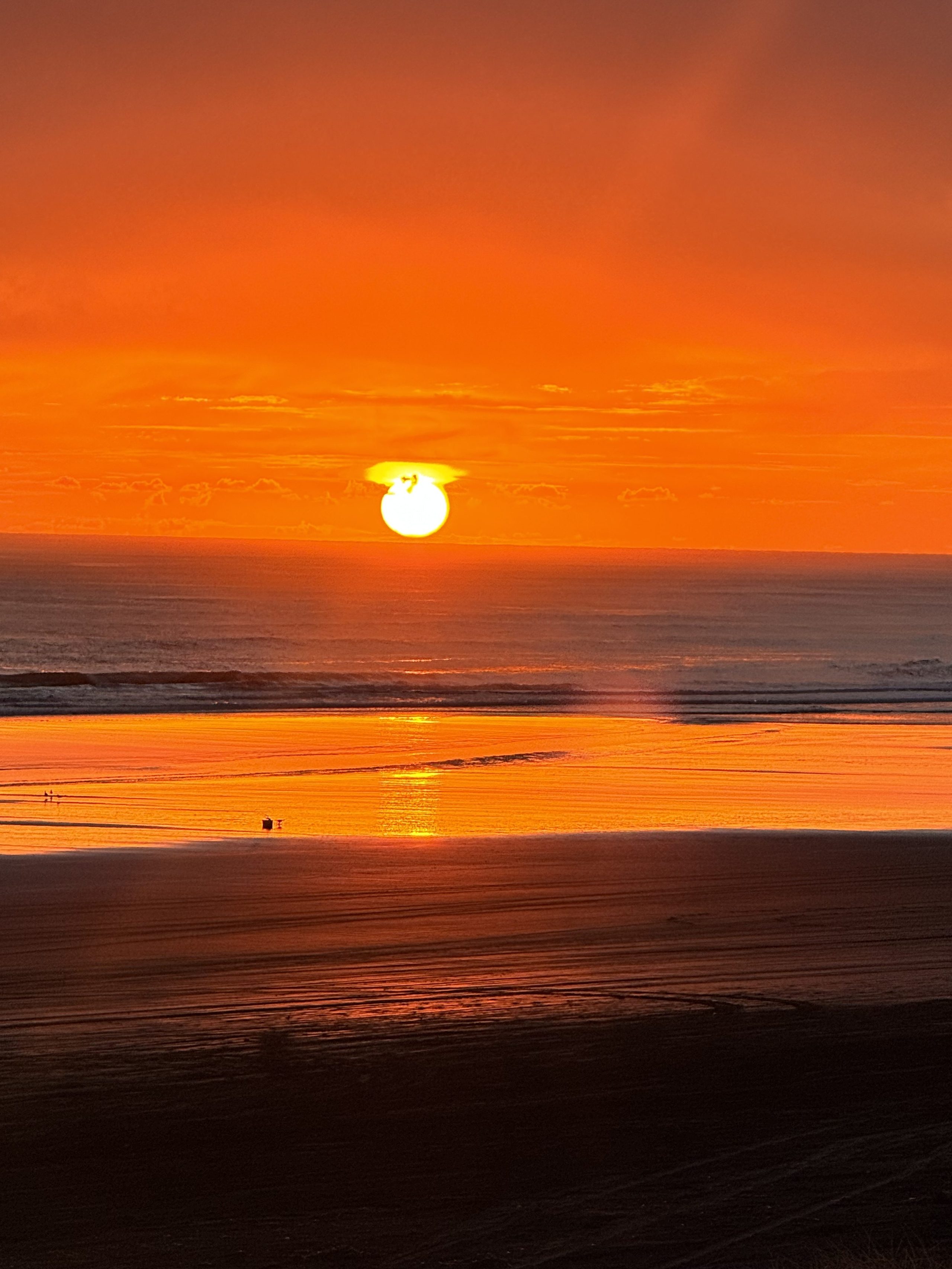 Magical Muriwai