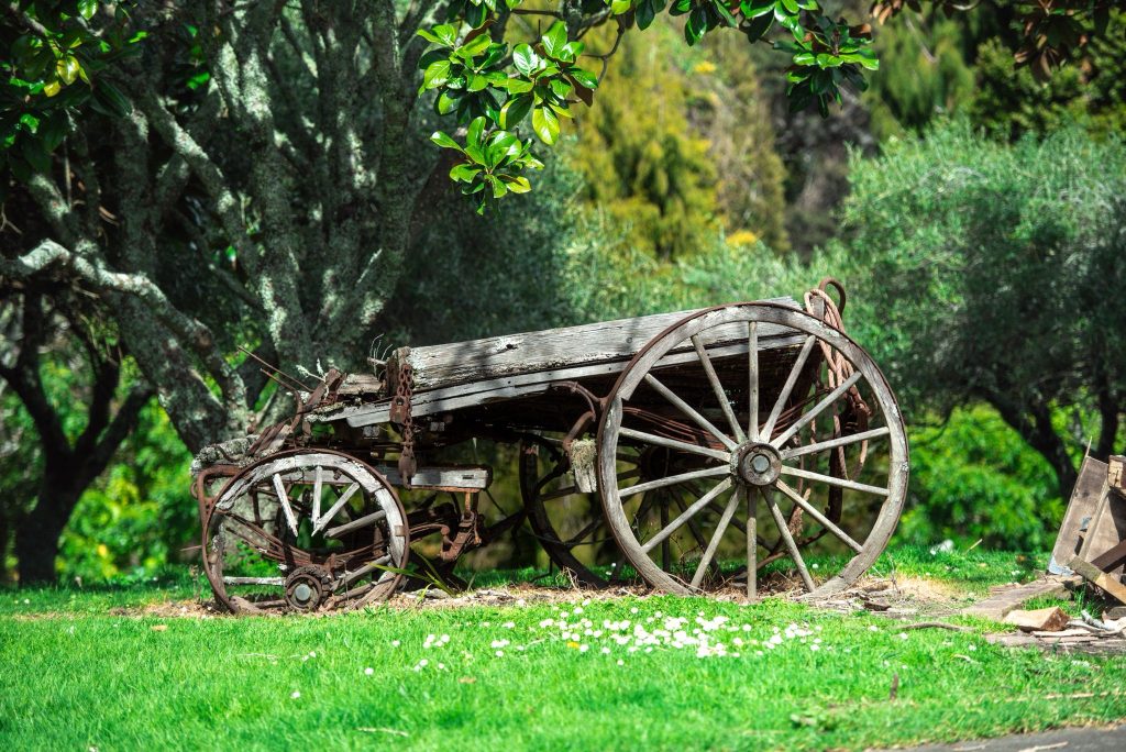 The cart at VC