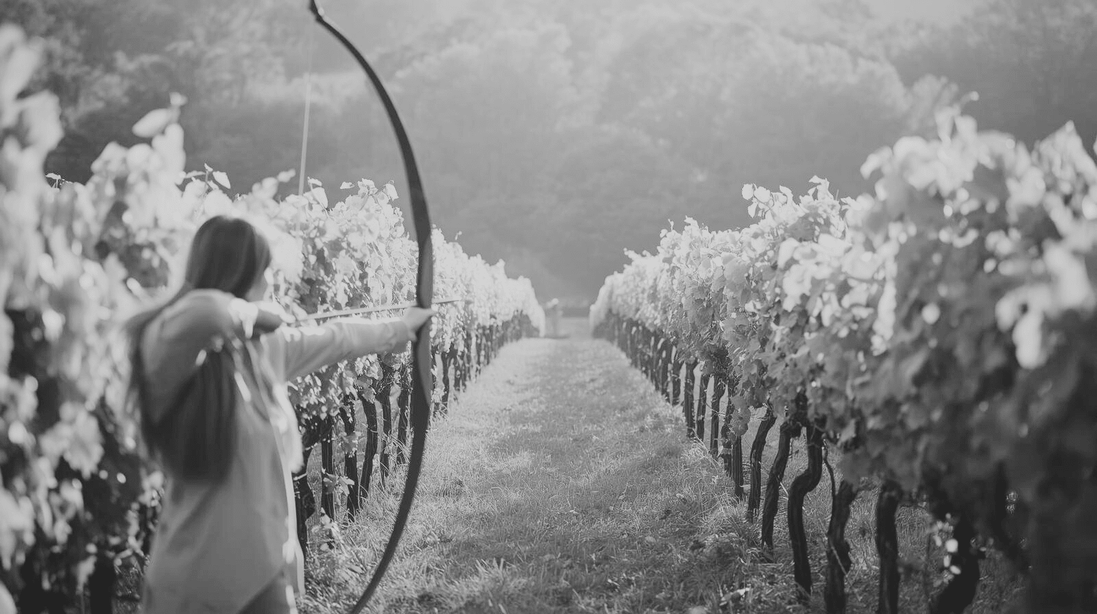 Archery in the vines