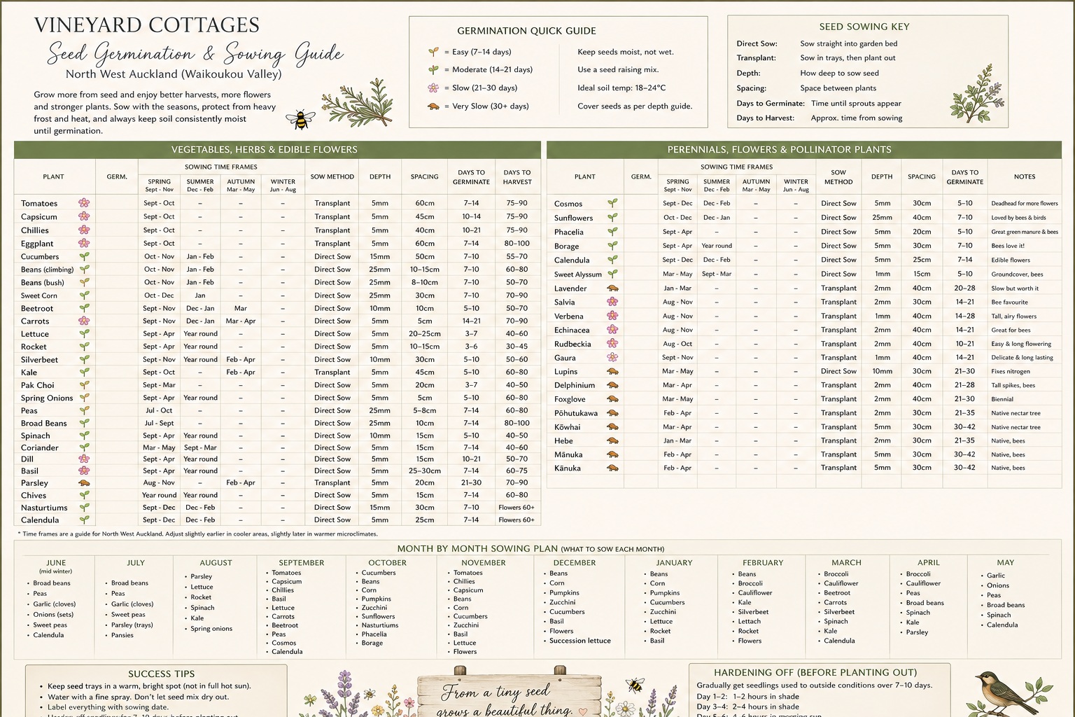 Seed plan